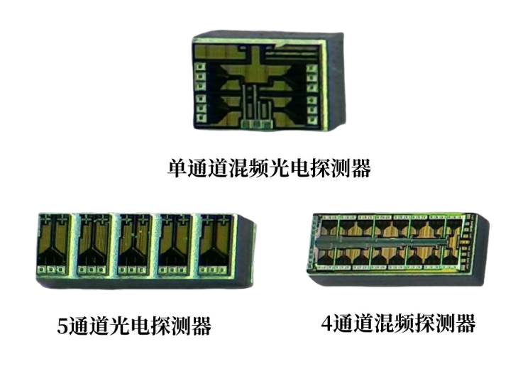 SOI芯片光电探测器